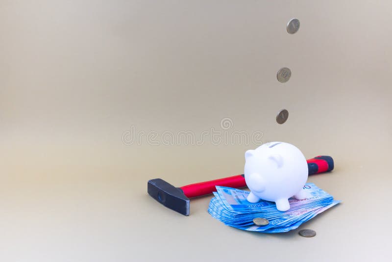 Porcellino salvadanaio con soldi e le monete fotografia stock Porcellino salvadanaio con soldi e le monete fotografia stock