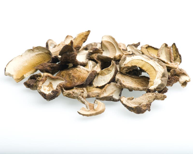 Porcini Mushrooms stock image. Image of cooking, mushroom 14257187
