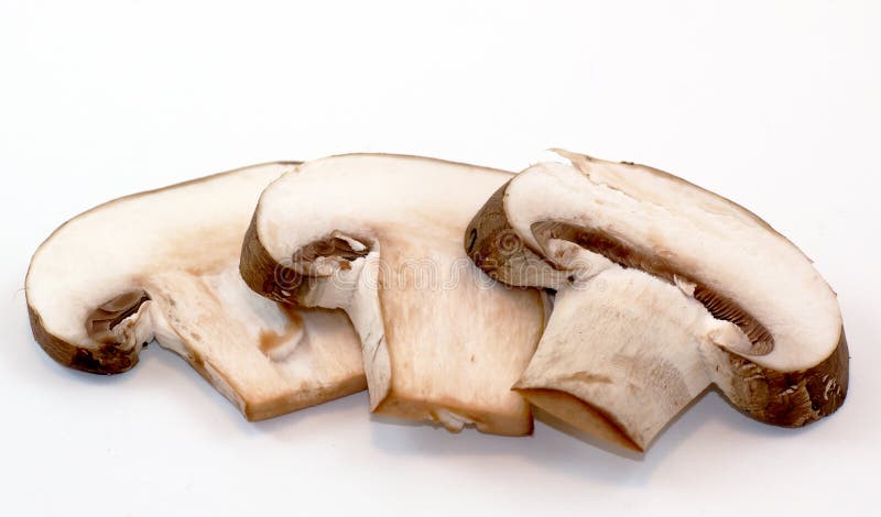 Porcini Pilz-Scheiben auf weißem Hintergrund