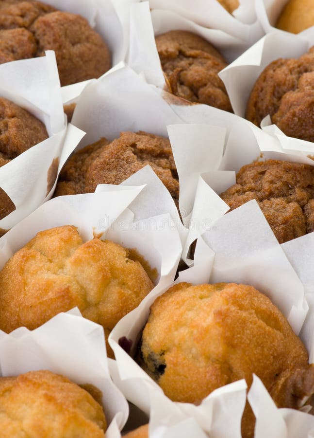 Lots of freshly baked small muffins cakes in rows. Lots of freshly baked small muffins cakes in rows