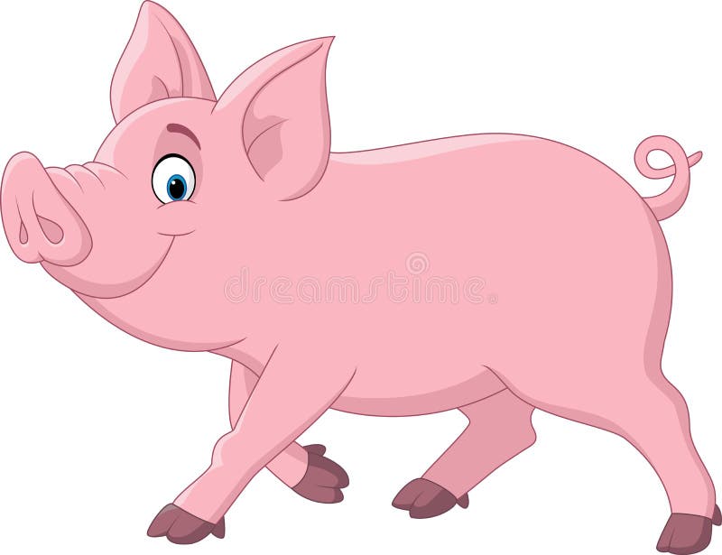 Illustration of Cartoon funny pig. Illustration of Cartoon funny pig