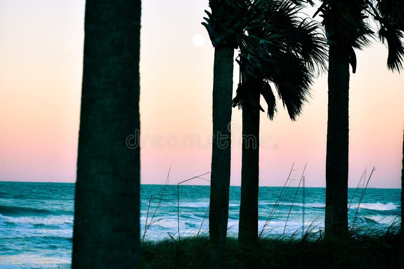 Pores do sol e palmeiras no crep?sculo ao longo da costa de praias de Florida na entrada de Ponce e na praia de Ormond, Florida imagens de stock royalty free Pores do sol e palmeiras no crep?sculo ao longo da costa de praias de Florida na entrada de Ponce e na praia de Ormond, Florida imagens de stock royalty free