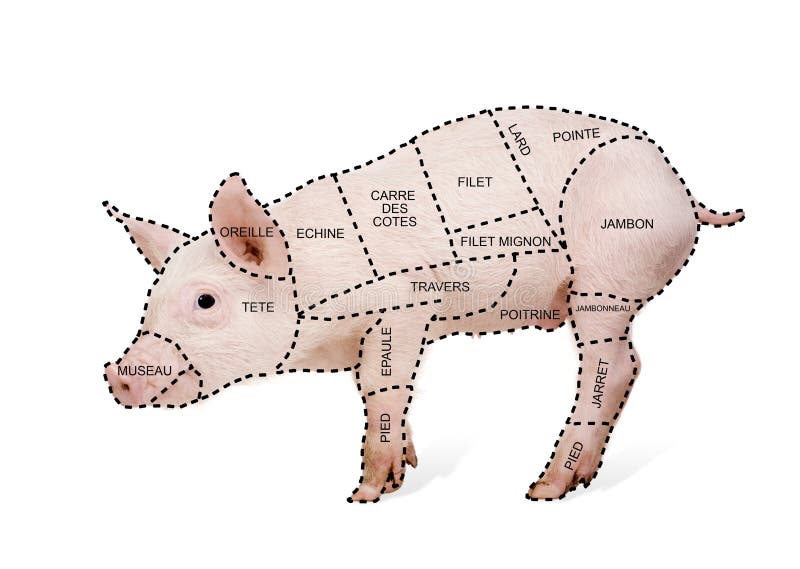 Pork cut chart poster in french