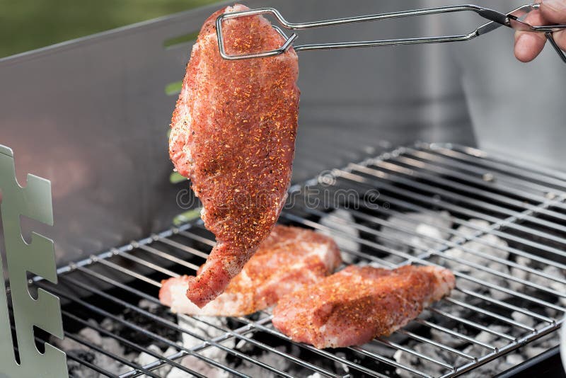 Pork cutlet stock image. Image of meat, snack, diet, picnic 32831417