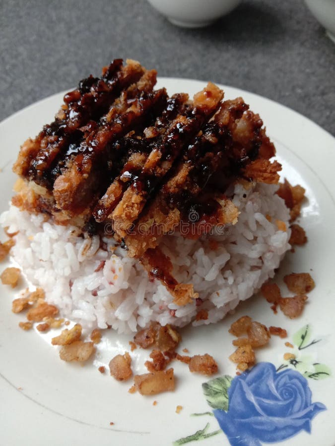 Pork Katsu rice stock photo. Image of breakfast, cuisine 187287802