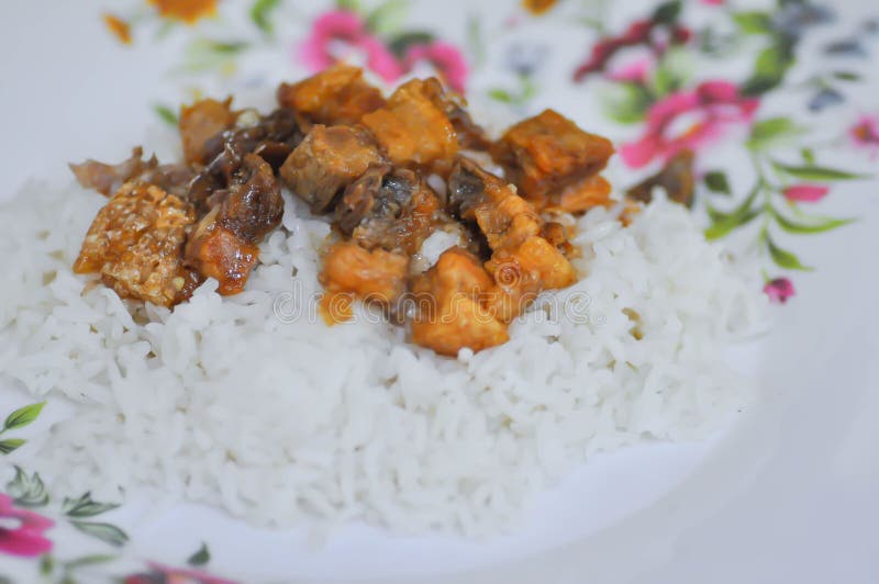 Pork and Rice or Crispy Pork, Deep Fried Pork or Fried Pork and Rice