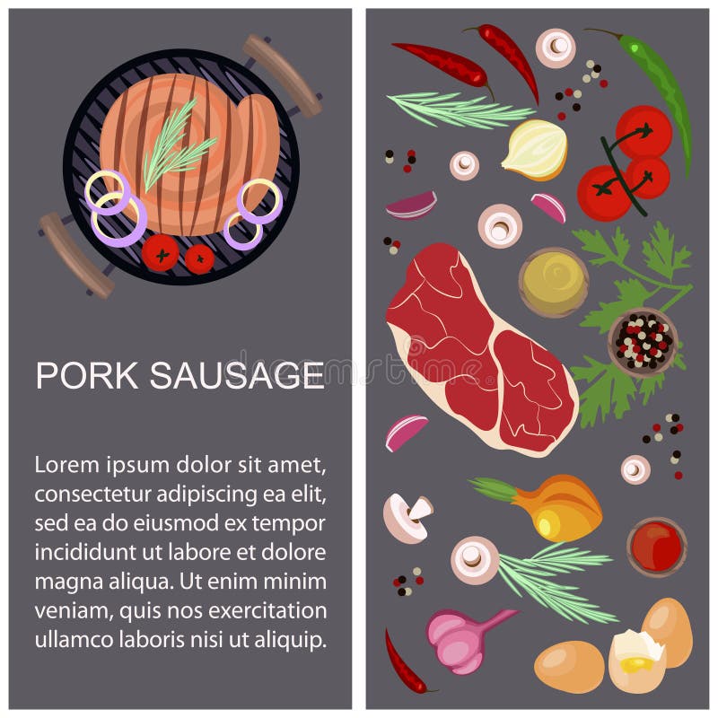 Pork Sausage with Ingredients Stock Vector Illustration of appetizer