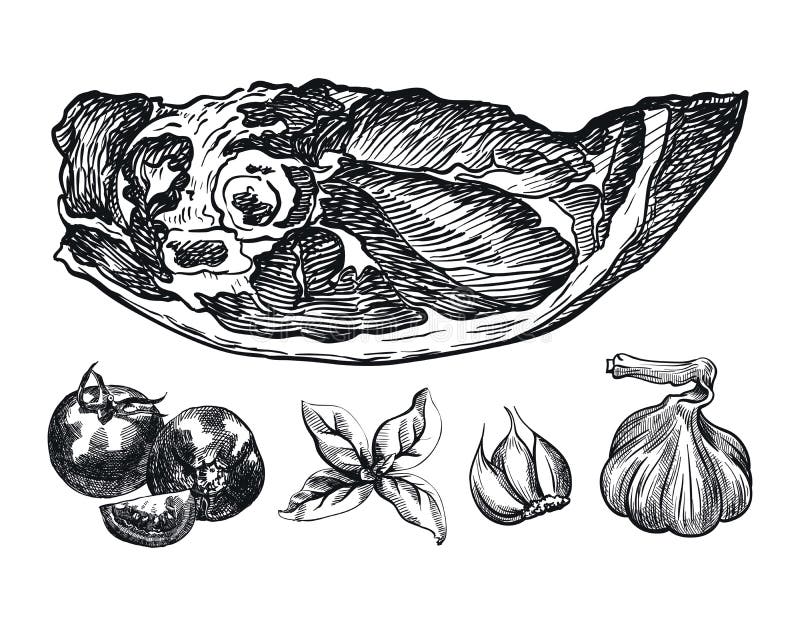 Raw Pork Shoulder in Pack, Sketch Vector. Stock Vector Illustration