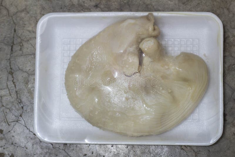 Pork Stomach in Plastic Wrap on Concrete Stock Photo Image of