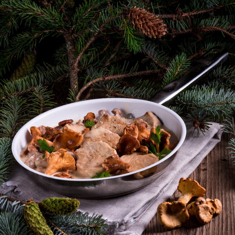 Pork Tenderloin with Chanterelle Sauce Stock Image Image of edible