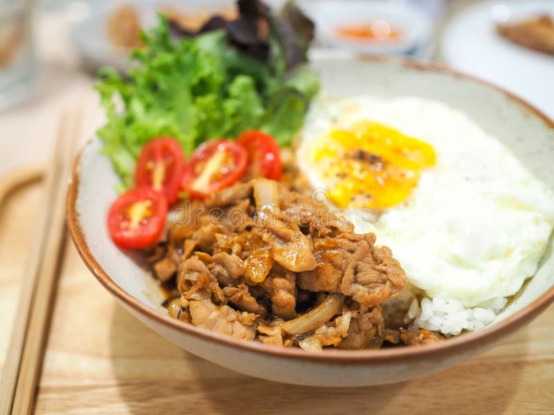 Pork teriyaki with rice and fried egg stock image Pork teriyaki with rice and fried egg stock image