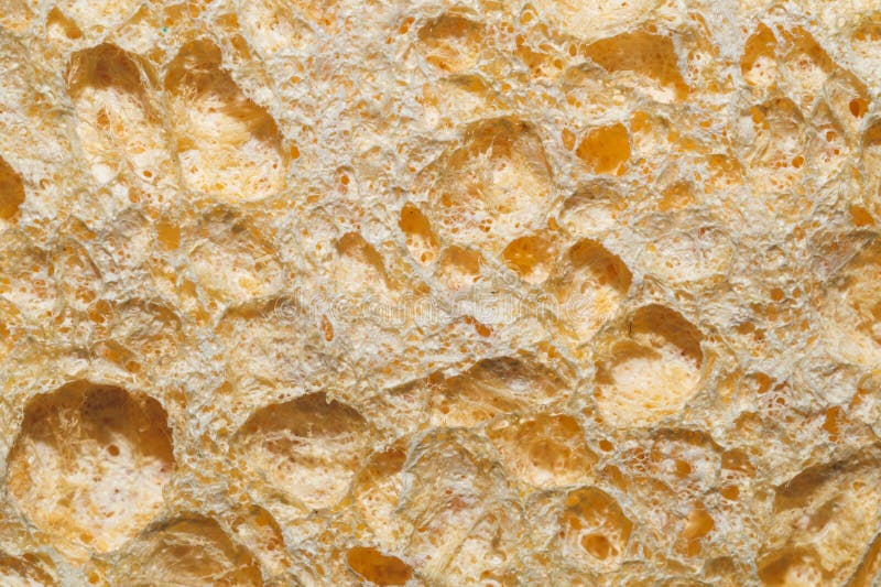 Porous material macro texture. rough surface. abstract background. Porous material texture close up. rough surface. abstract background royalty free stock photos Porous material macro texture. rough surface. abstract background. Porous material texture close up. rough surface. abstract background royalty free stock photos
