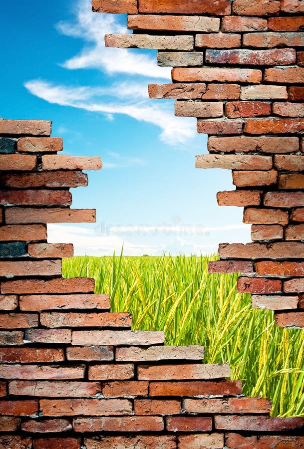 Porous wall to see rice field and blue sky