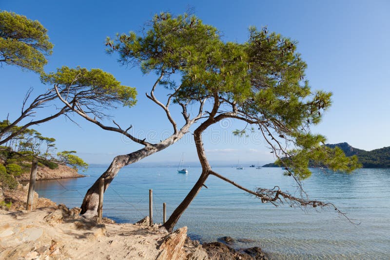 Porquerolles island in France