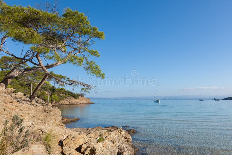 Porquerolles island in France