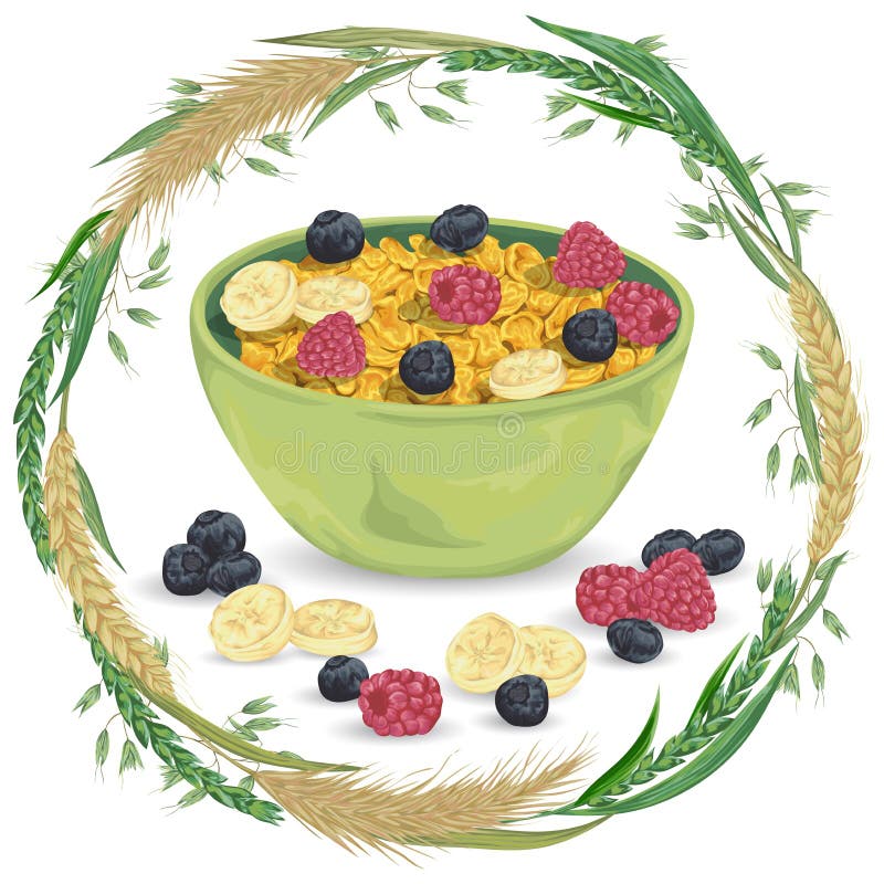 Porridge del cereale in ciotola con il lampone, il mirtillo, la banana e la corona con i cereali Orzo, grano, segale ed avena Pri illustrazione di stock Porridge del cereale in ciotola con il lampone, il mirtillo, la banana e la corona con i cereali Orzo, grano, segale ed avena Pri illustrazione di stock
