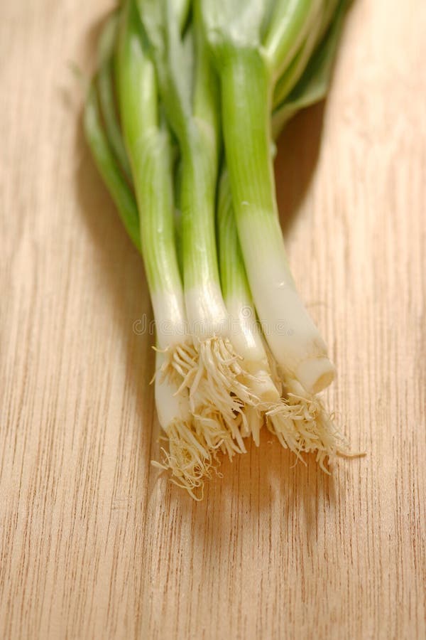 Porro fotografia stock. Immagine di closeup, insalata, sano - 498650