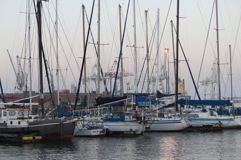 Port Elizabeth hamn royaltyfri bild