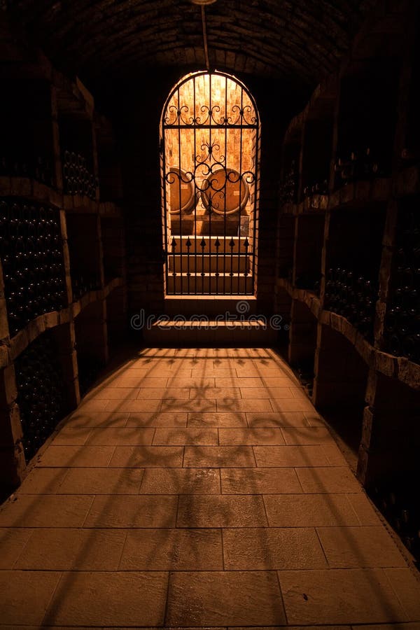 Porta da adega imagens de stock royalty free