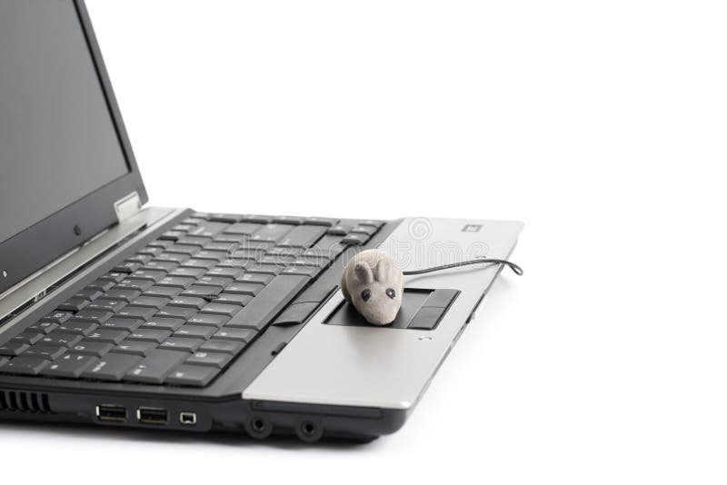 Portable computer and mouse