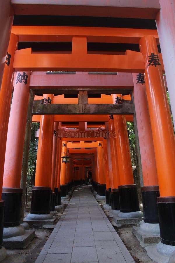 Portar för Fushimi Inari Taisha relikskrintorii i Kyoto, Japan fotografering för bildbyråer Portar för Fushimi Inari Taisha relikskrintorii i Kyoto, Japan fotografering för bildbyråer