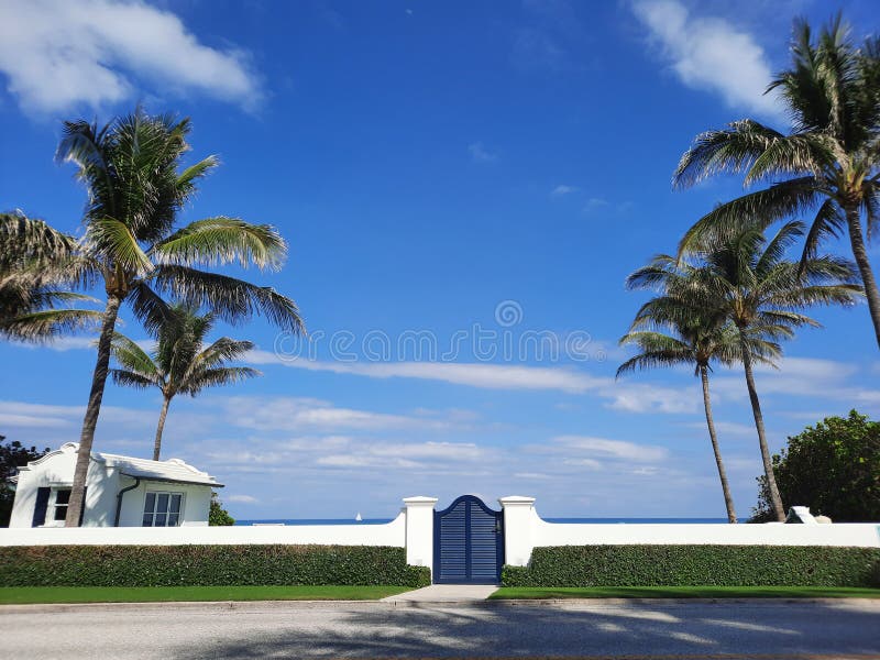 Porte bleue sur haie de clôture blanche entourant villa balnéaire et palmiers sur ciel bleu à palm beach usa