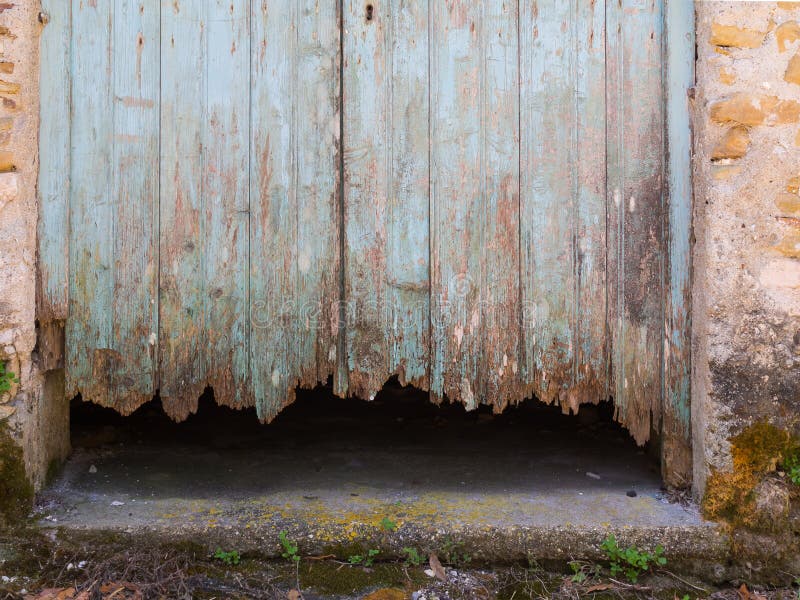 Painted dirty rotten door made of wood. Painted dirty rotten door made of wood