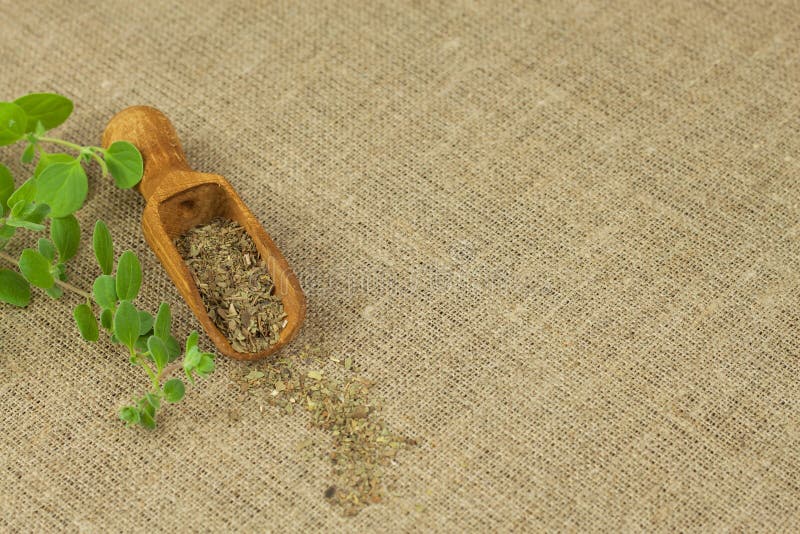 Portion of Fresh Oregano. Oregano Spices Traditional Pizza. Stock Image