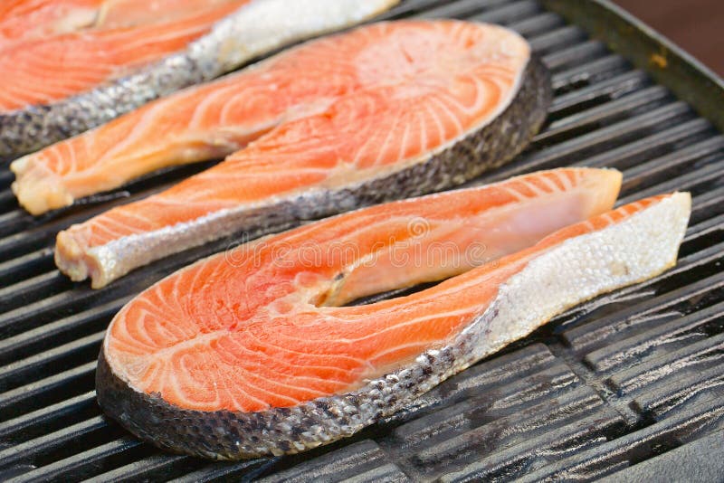 Portion of Fresh Salmon Fillet on a Grill Stock Photo Image of