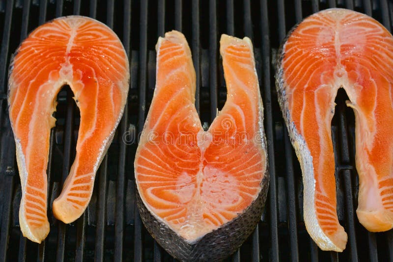 Portion of Fresh Salmon Fillet on a Grill Stock Image Image of grid