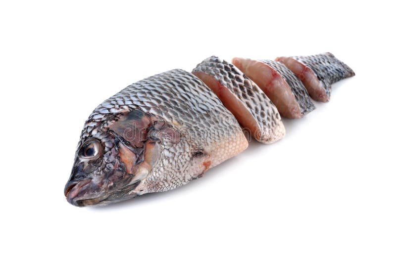 Portion Of Fresh Tilapia Fish On White Stock Photo Image 53787120