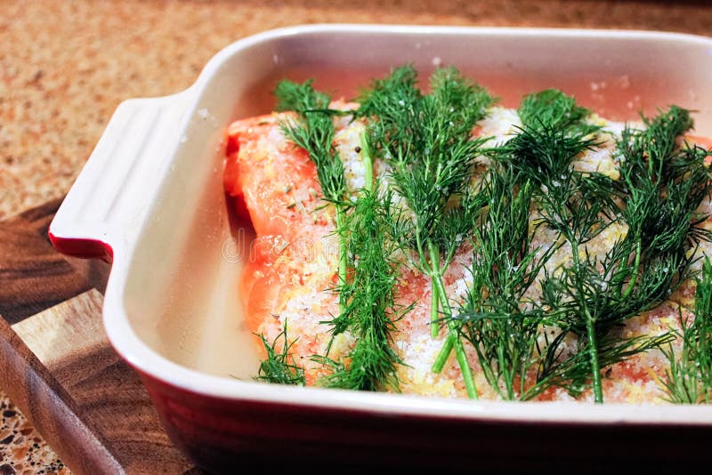 A Portion of Salmon Being Cured for Gravlax Stock Photo Image of cool