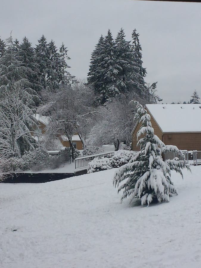 Portland Oregon First Snow of Year Stock Image Image of snow, year