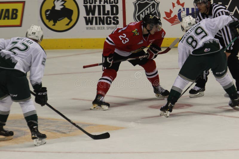 Portland Winterhawks hace frente apagado fotos de archivo libres de regalías Portland Winterhawks hace frente apagado fotos de archivo libres de regalías