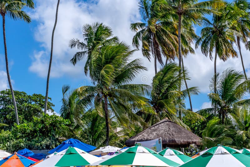 Porto de Galinhas, Ipojuca, Pernambuco, Brasil - em maio de 2019: uma das praias as mais bonitas no mundo, onde você pode tomar foto de stock Porto de Galinhas, Ipojuca, Pernambuco, Brasil - em maio de 2019: uma das praias as mais bonitas no mundo, onde você pode tomar foto de stock