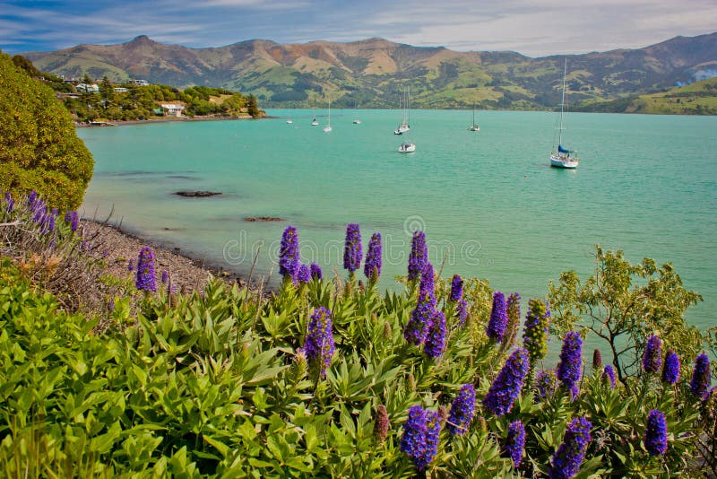 Porto pequeno de Akaroa na península perto de Christchurch, Nova Zelândia imagens de stock royalty free Porto pequeno de Akaroa na península perto de Christchurch, Nova Zelândia imagens de stock royalty free