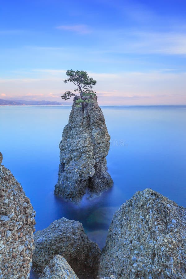 Portofino natural regional park. Lonely pine tree rock and coastal cliff beach. Long exposure photography. Liguria, Italy. Portofino natural regional park. Lonely pine tree rock and coastal cliff beach. Long exposure photography. Liguria, Italy