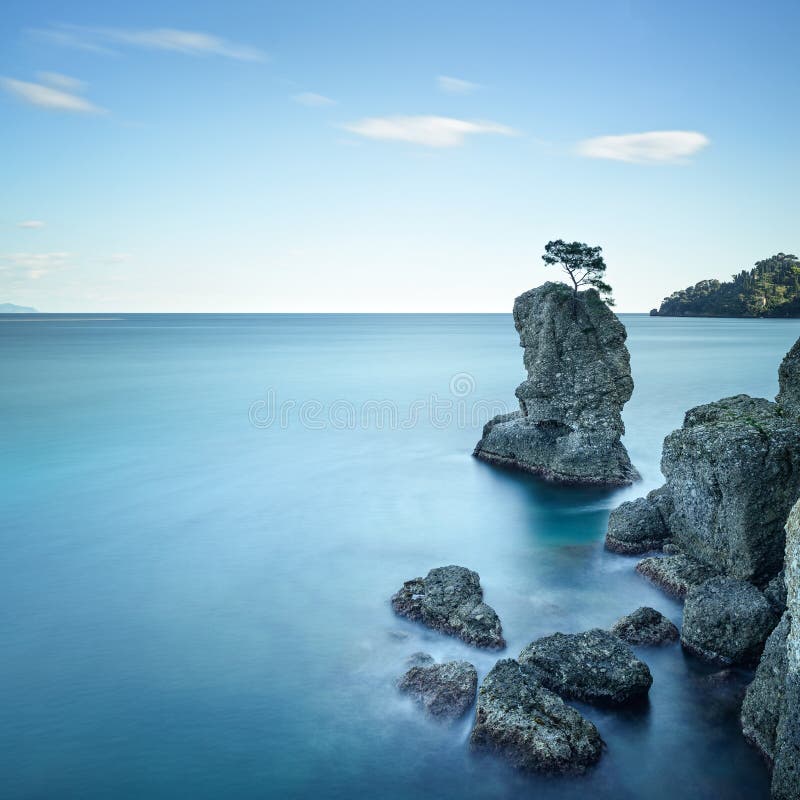 Portofino natural regional park. Lonely pine tree rock and coastal cliff beach. Long exposure photography. Liguria, Italy. Portofino natural regional park. Lonely pine tree rock and coastal cliff beach. Long exposure photography. Liguria, Italy