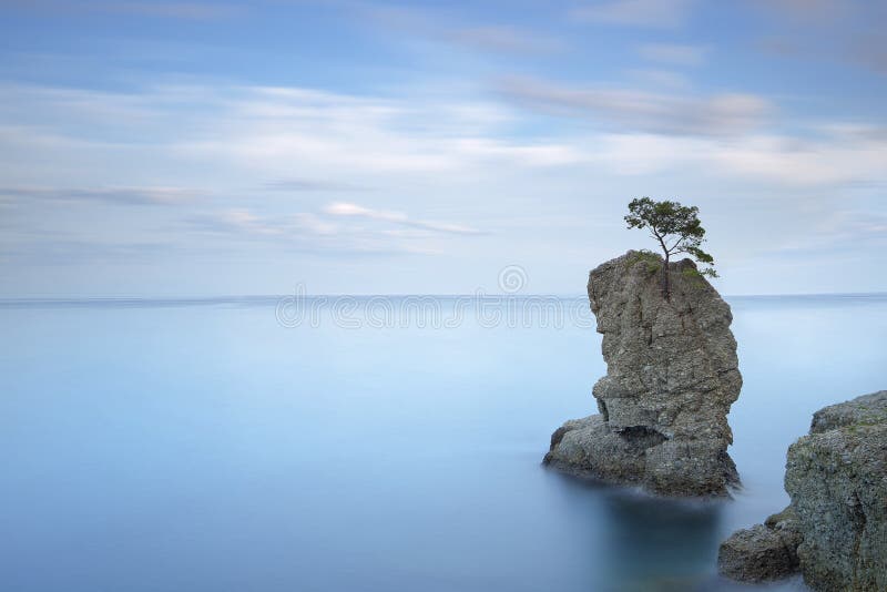 Portofino natural regional park. Lonely pine tree rock and coastal cliff beach. Long exposure photography. Liguria, Italy. Portofino natural regional park. Lonely pine tree rock and coastal cliff beach. Long exposure photography. Liguria, Italy