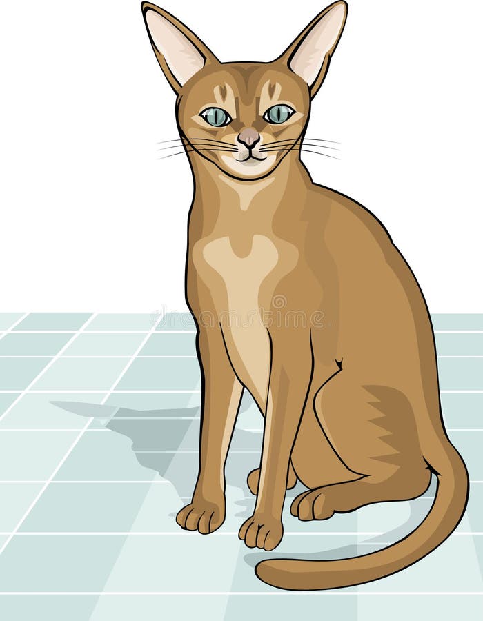 Pixel Art Vector Abyssinian Cat Icon Isolated On White Background Stock  Illustration - Download Image Now - iStock