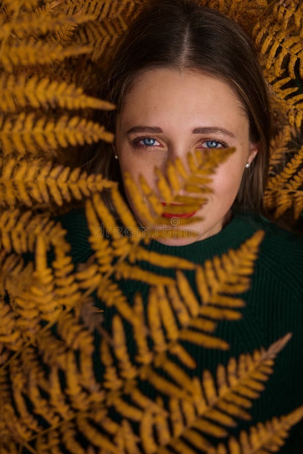 Beautiful Woman Lying In Ferns In Autumn Forest Stock Photo Image Of