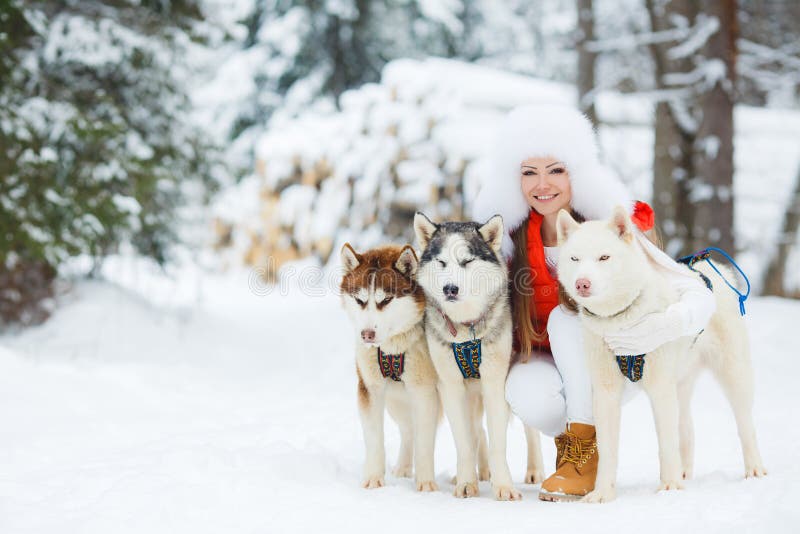 Portrait Of A Beautiful Woman With A Siberian Husky. Stock Image