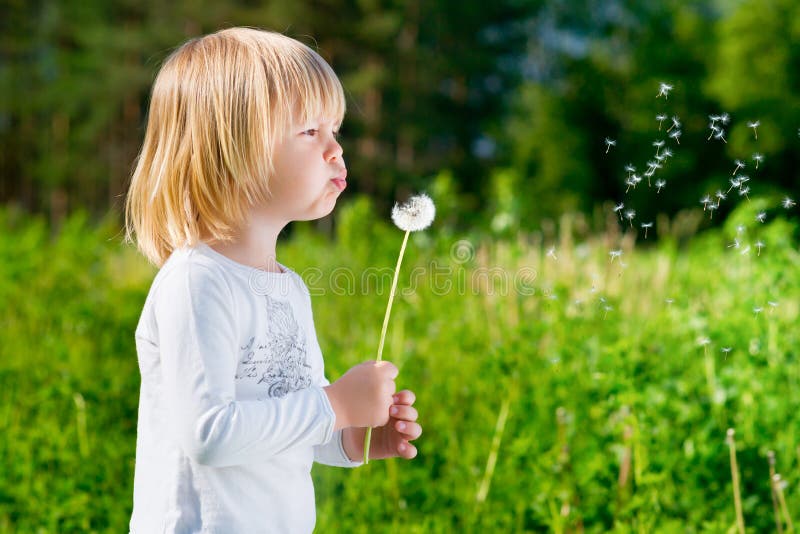 Blond little boy blowing a dandelion