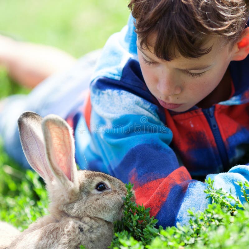Portrait of a Boy, he is Holding Rabbit Stock Photo - Image of farm
