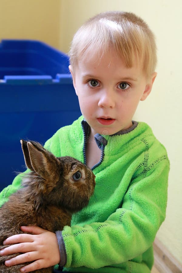 Portrait boy and rabbit stock photo. Image of looking 63892476