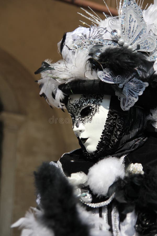 Portrait of a carnival mask