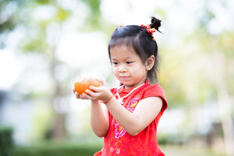 Portrait cute Asian kid girl holding oranges fruit. Chinese New Year concept. Child wear red qipao cheongsam. Children are 4 years