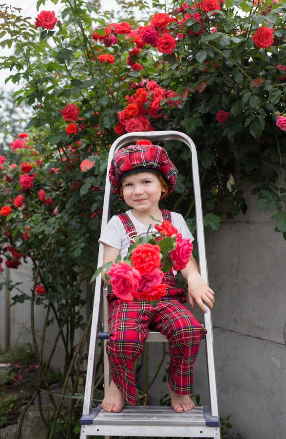 Cute cheerful happy boy 4-5 years old in a plaid overalls on background of a large bush of blooming red roses