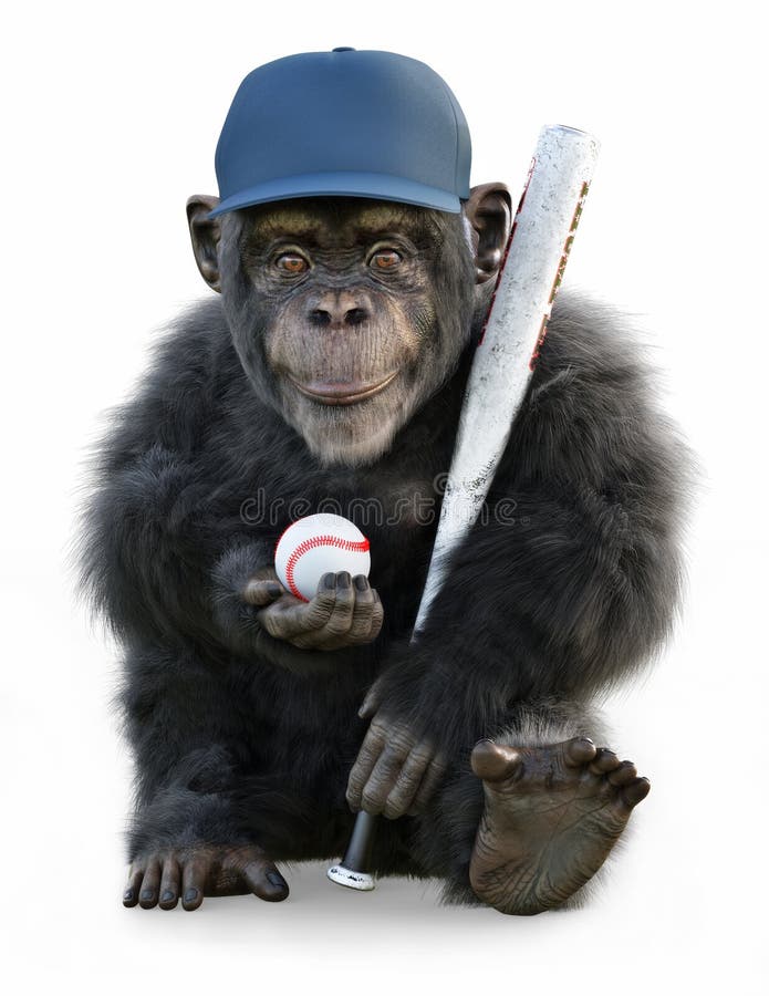 Portrait of a cute little monkey posing with baseball gear on a white background.