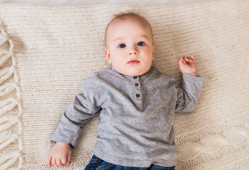 Portrait of a Cute 6 Months Baby Boy Stock Photo Image of beauty